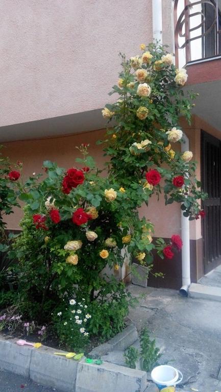 Lazur Hotel Ravda Kültér fotó